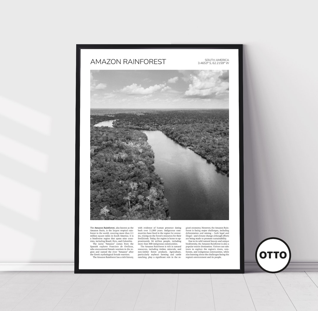 Amazon Rainforest Wall Art Amazon Rainforest Artful Travel Etsy.de