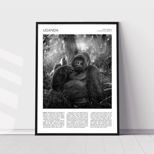 Uganda Wall Art | Uganda Artful Travel Poster Print Photo | Mgahinga National Park | Mountain Gorilla | East Africa