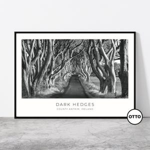 Dark Hedges Wall Art | Dark Hedges Home Decor Print | Beech Trees Art Travel Poster | Artful Photo Travel Gift Idea | County Antrim, Ireland