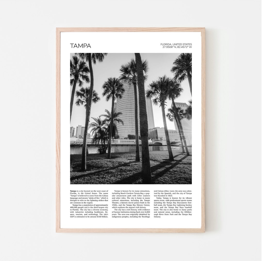 Tampa Wall Art Palm Trees, Downtown Tampa Artful Travel Poster Print