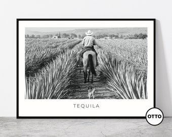 Tequila Wall Art | Tequila, Jalisco Home Decor | Agave Field | Mexican Artful Travel Gift | Mexico Art Poster Print
