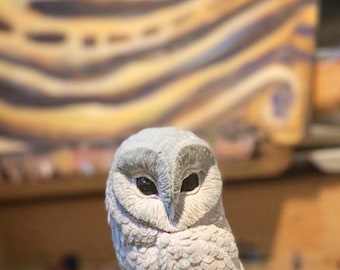 Vela de lechuza común