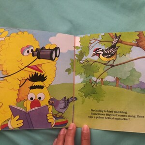 1991 Sesame Street My Name is Bert by Justine Korman Illustrated by Maggie Swanson image 8