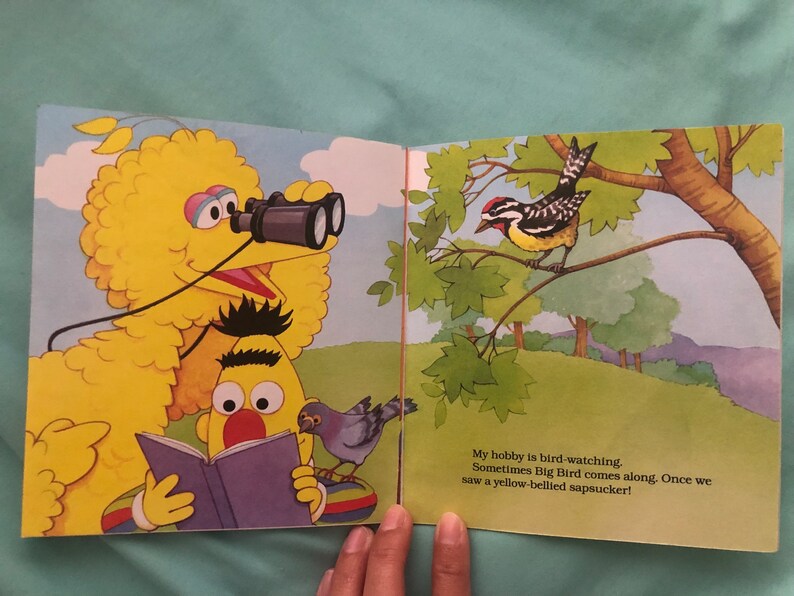 1991 Sesame Street My Name is Bert by Justine Korman Illustrated by Maggie Swanson image 8