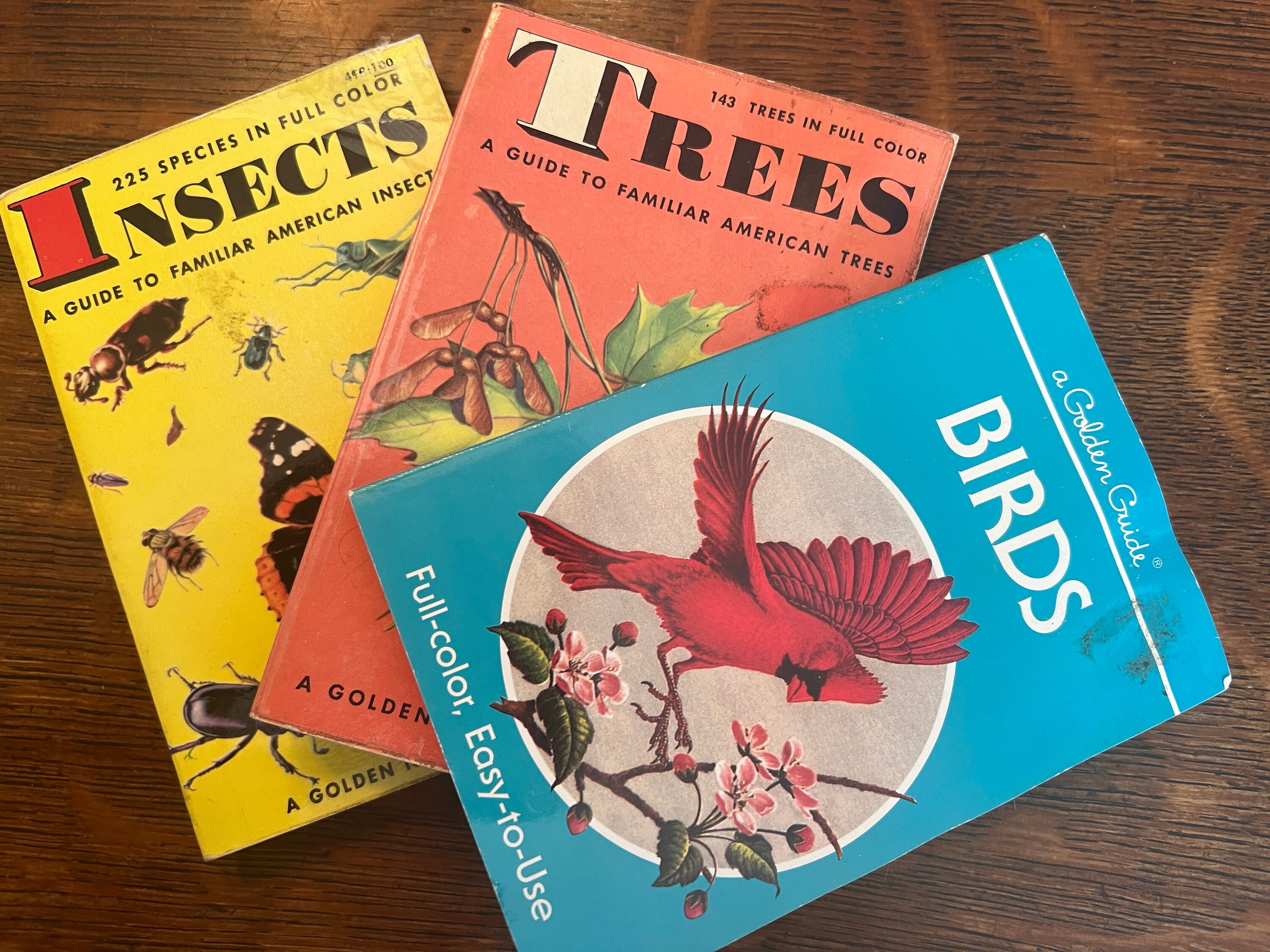 Vintage Golden Nature Guides- Insects, Trees, and Birds