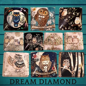Feathered friends, owls,birds,cover minder, needle minder,diamond painting, embroidery,cross stitch,craft supplies,sewing, moon,trees,magnet
