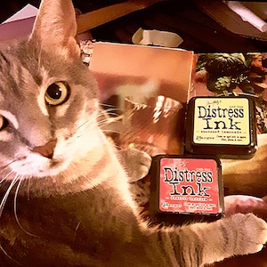 Distress Ink,Tim Holtz,Ranger,vintage,scrapbook,journal,craft supplies, arts and crafts,mixed media,junk journal,altered books, card making,