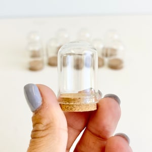 Cúpula de vidrio con base de cristal transparente, pantalla de globo  Cloche, campana de cúpula, tarro de vela de cristal, mini soporte para  pastel