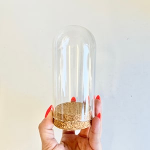 Großes Domglas, 60 x 120 mm, Kuppelglas, Cloche Dome, Korken, Glasgefäß, Großes Glas, Glockenglas, Die Schöne und das Biest, Glasflaschen, DIY Anhänger