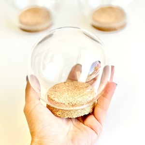 Grand bocal en verre dôme, bocal en forme de dôme, globe en verre, cloche ronde de 10 cm, bouchon de liège, présentoir en verre, grand bocal rond, cloche, cloche ronde avec fond en liège