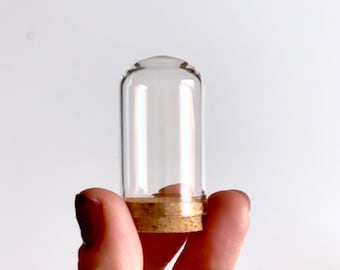 10 pcs Mini Dome Glass Jar, 42.5x25mm, Dome Jar, Cloche Dome, Cork, Glass Jar, Mini Jar, Bell Jar, Beauty and the Beast, Glass Bottles