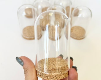 Big Dome Glass Jar, 80x50mm, Dome Jar, Cloche Dome, Cork, Glass Jar, Big Jar, Bell Jar, Beauty and the Beast, Glass Bottles, DIY Pendant