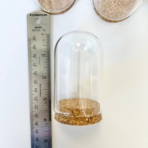May include: A clear glass jar with a cork lid. The jar is about 6 inches tall and is sitting on a white surface. A ruler is visible in the background.
