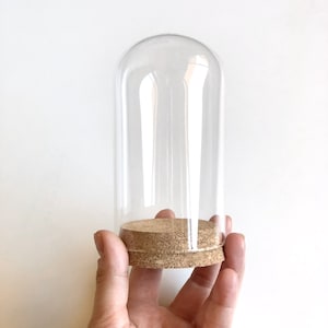 Großes Domglas, 120 x 68 mm, Kuppelglas, Cloche Dome, Korken, Glasgefäß, Großes Glas, Glockenglas, Die Schöne und das Biest, Glasflaschen, DIY Anhänger