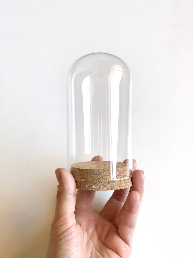 Puede incluir: Una campana de cristal transparente con una base de corcho. La campana es de forma cil&iacute;ndrica y tiene una parte superior redondeada.