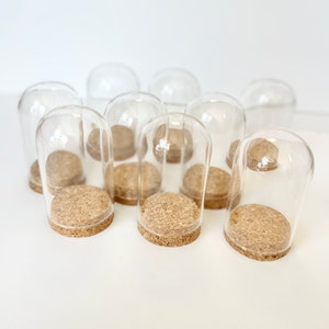 May include: Ten clear glass cloche jars with cork lids. The jars are arranged in a semi-circle on a white surface.