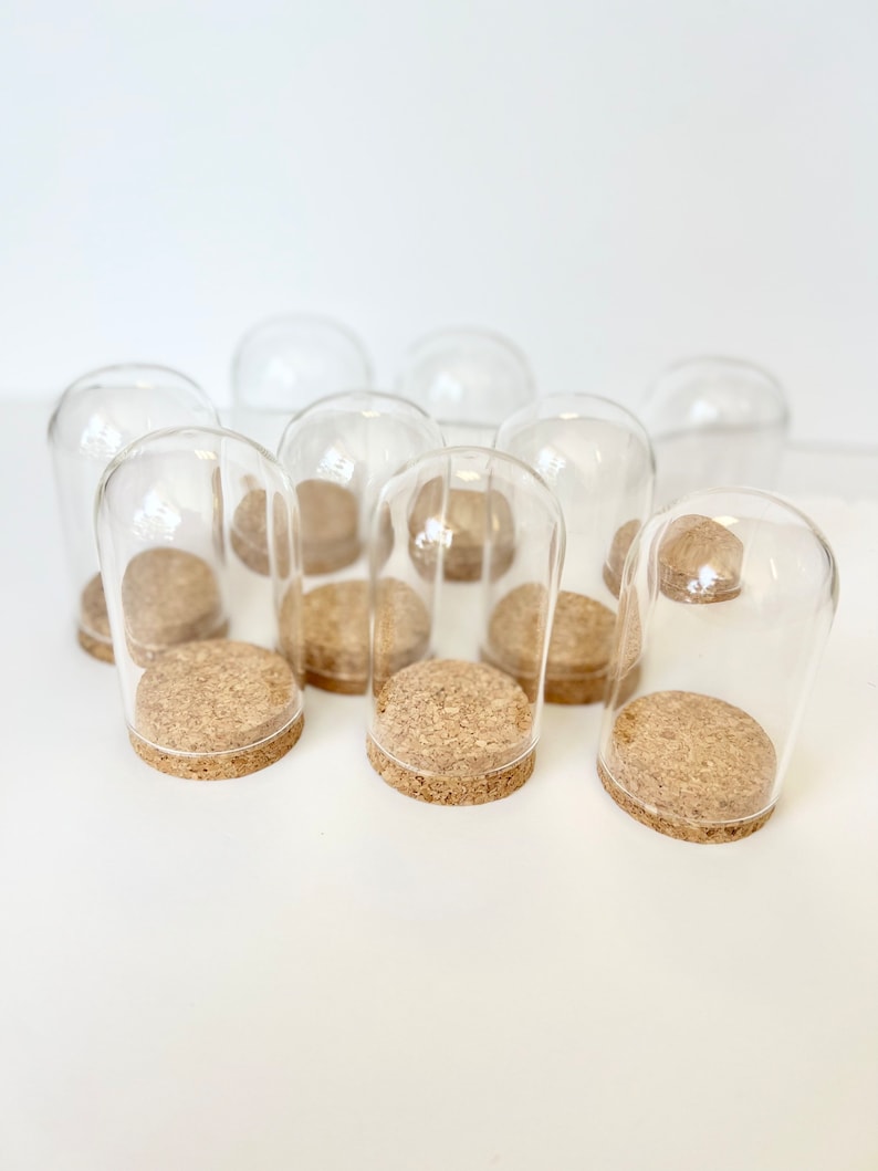 Big Dome Glass Jar 80x50mm Dome Jar Cloche Dome Cork Etsy