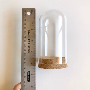 Puede incluir: Una campana de cristal transparente con una base de corcho. La campana mide 15 cm de alto y se mide con una regla.