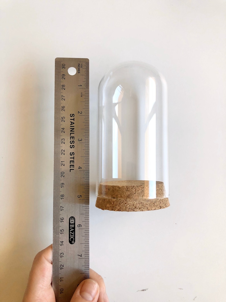 Puede incluir: Una campana de cristal transparente con una base de corcho. La campana mide 15 cm de alto y se mide con una regla.