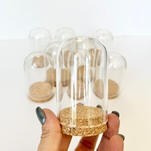 May include: A set of eight clear glass cloche jars with cork lids. The jars are approximately 3 inches tall and 2 inches wide.