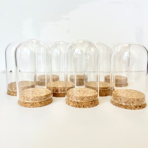May include: Eight clear glass cloche domes with cork bases. The domes are arranged in a row on a white surface.