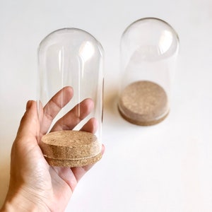 Puede incluir: Dos campanas de cristal transparentes con bases de corcho. Las campanas son redondas y tienen un acabado liso y pulido. Las bases de corcho son marrones y tienen una textura natural.