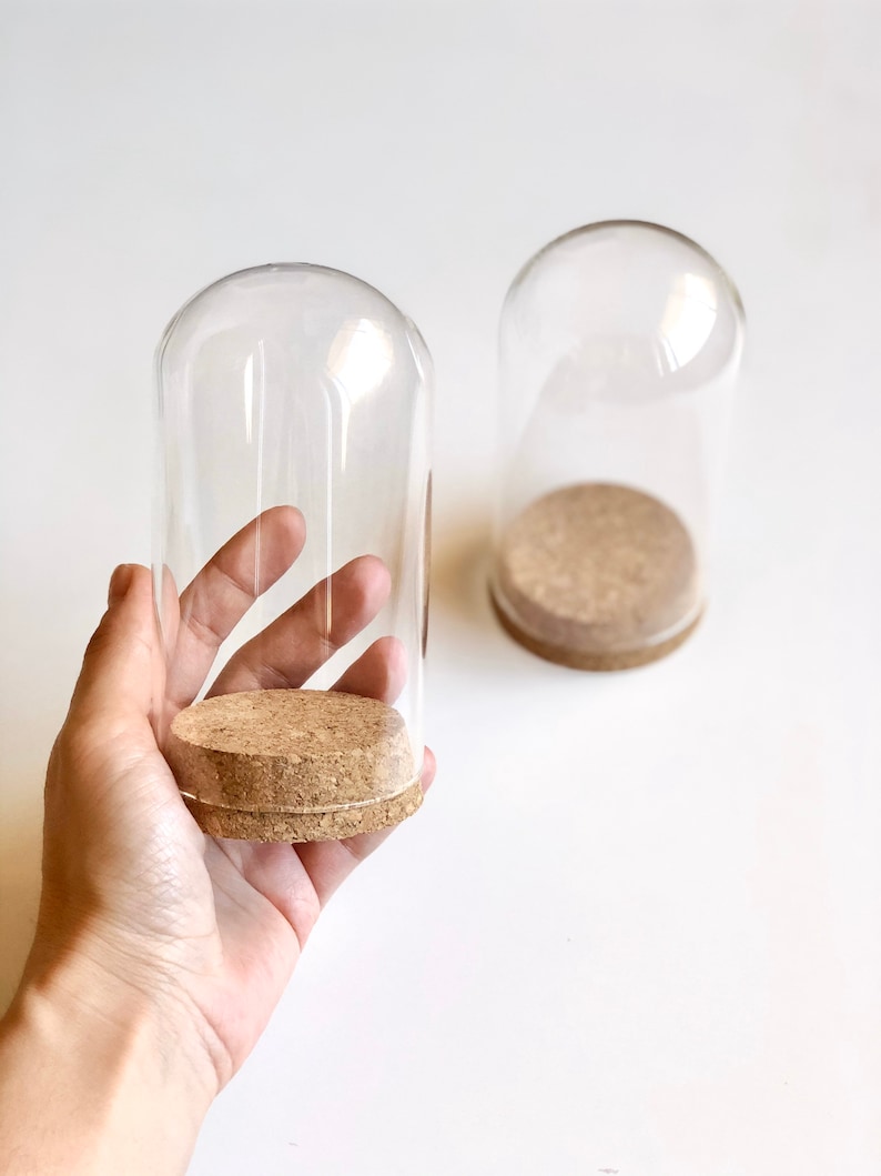 Puede incluir: Dos campanas de cristal transparentes con bases de corcho. Las campanas son redondas y tienen un acabado liso y pulido. Las bases de corcho son marrones y tienen una textura natural.