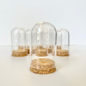 May include: A set of six clear glass cloche domes with cork bases. The domes are arranged in a row on a white surface.
