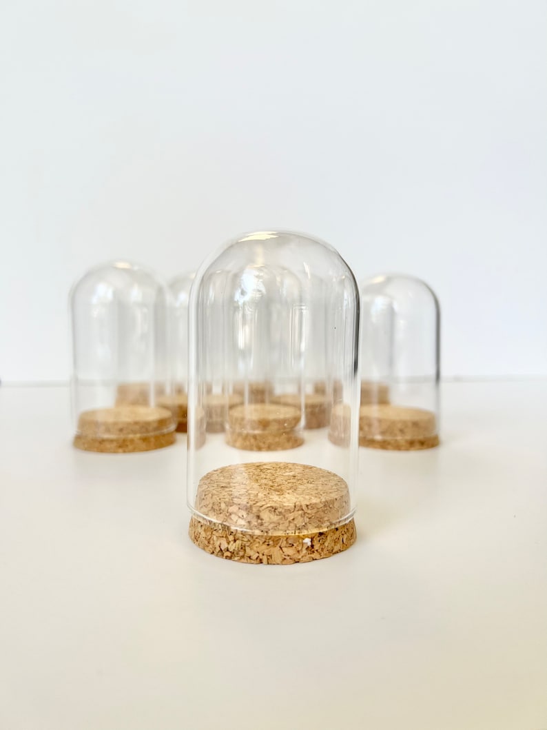 May include: A set of six clear glass cloche domes with cork bases. The domes are arranged in a row on a white surface.
