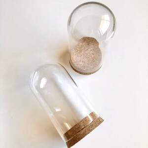 Puede incluir: Dos campanas de cristal transparente con bases de corcho. Las campanas est&aacute;n vac&iacute;as y est&aacute;n sobre una superficie blanca.