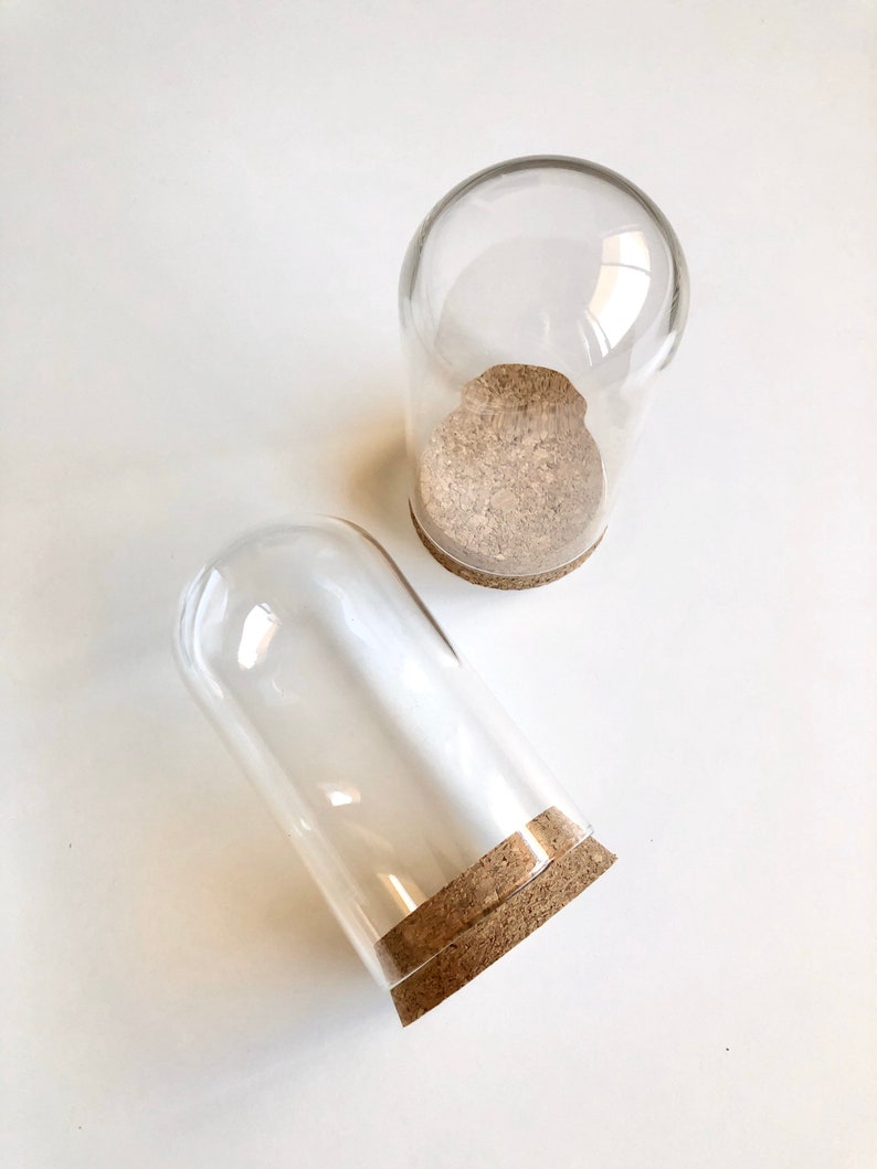 Puede incluir: Dos campanas de cristal transparente con bases de corcho. Las campanas est&aacute;n vac&iacute;as y est&aacute;n sobre una superficie blanca.