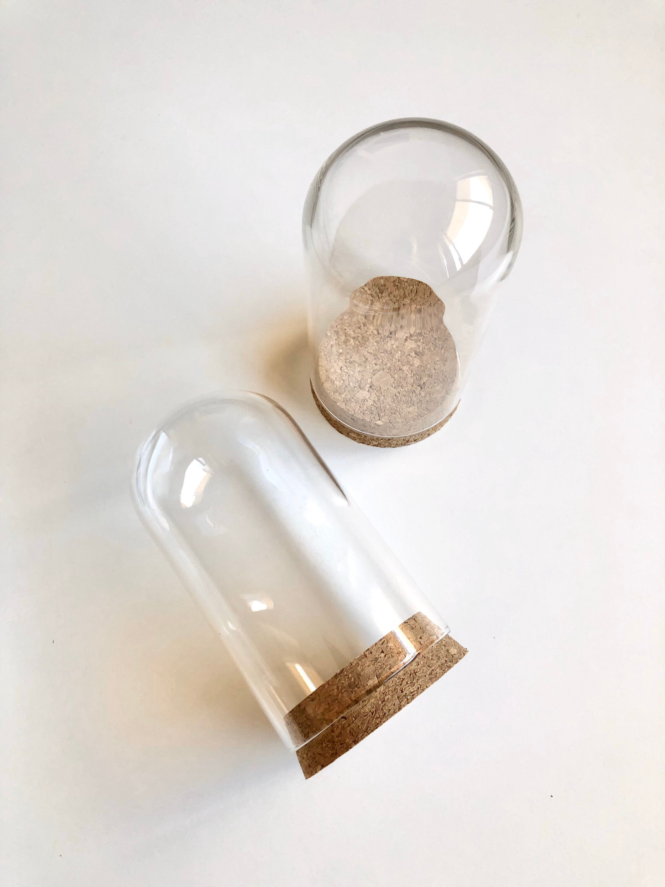 Big Dome Glass Jar 120x68mm Dome Jar Cloche Dome Cork Etsy