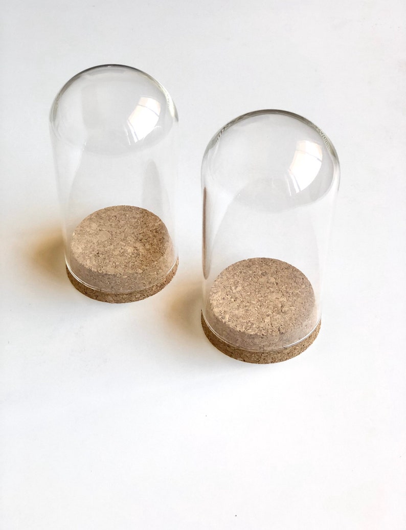 Puede incluir: Dos campanas de cristal transparente con bases de corcho. Las campanas son cil&iacute;ndricas y tienen una parte superior redondeada. Las bases de corcho son marrones y tienen una textura ligeramente rugosa.