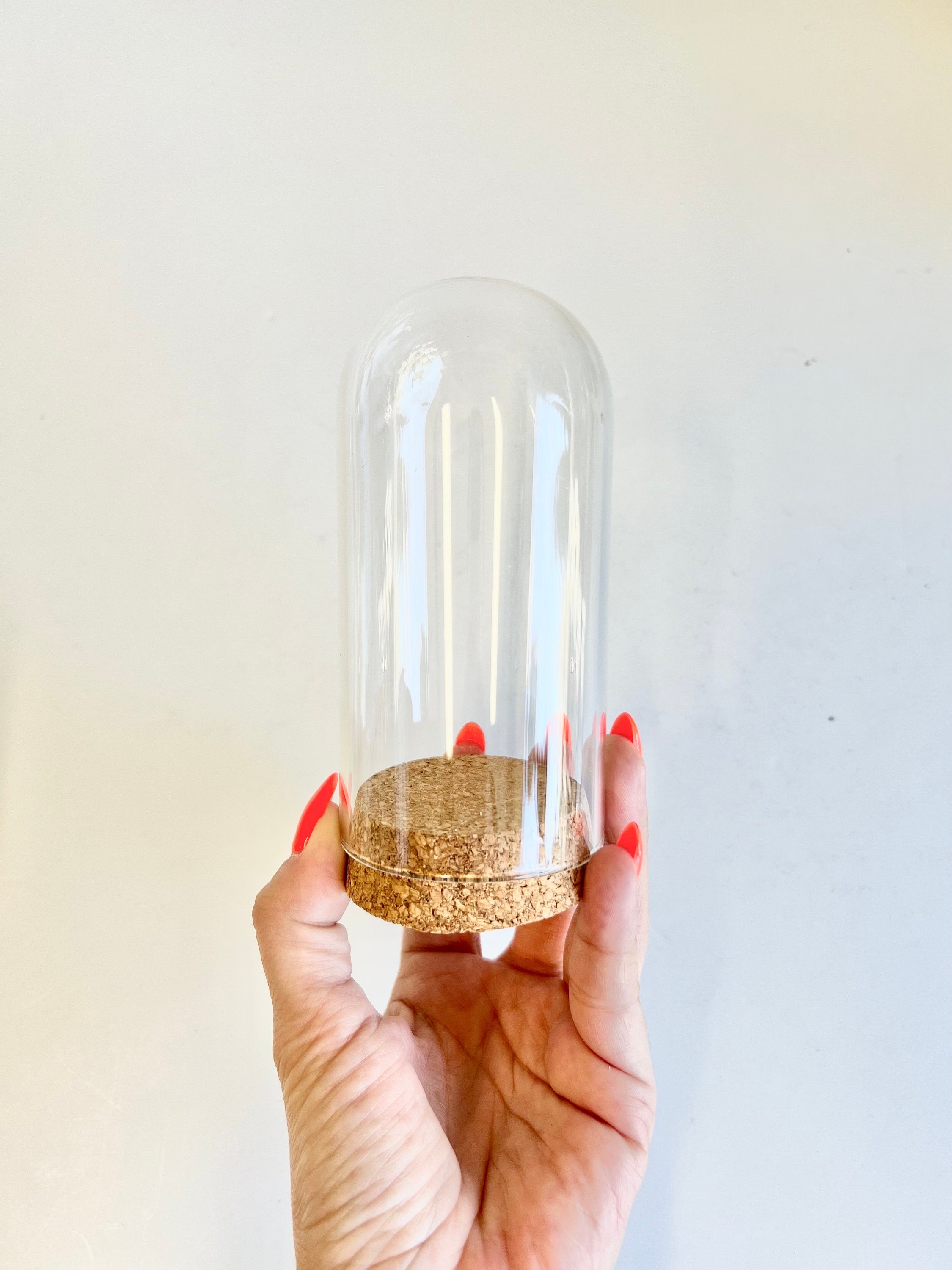 Big Dome Glass Jar, 60x120mm, Dome Jar, Cloche Dome, Cork, Glass Jar, Big Jar, Bell Jar, Beauty and the Beast, Glass Bottles, DIY Pendant