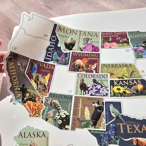 RV Sticker Travel Map, 50 U.S. States Places Traveled, Camper Decor, Outdoor Weatherproof Vinyl Decal, Bucket List afbeelding 9