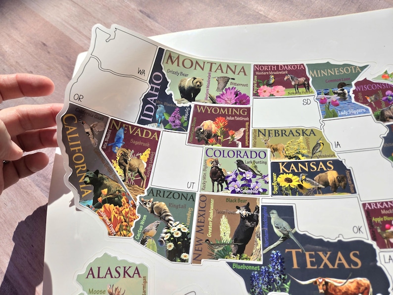 RV Sticker Travel Map, 50 U.S. States Places Traveled, Camper Decor, Outdoor Weatherproof Vinyl Decal, Bucket List afbeelding 9