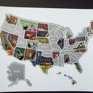 USA scratch off map United States poster Travel educational map Etsy sales tracker Bucket List poster, Places traveled, Scratch off image 3