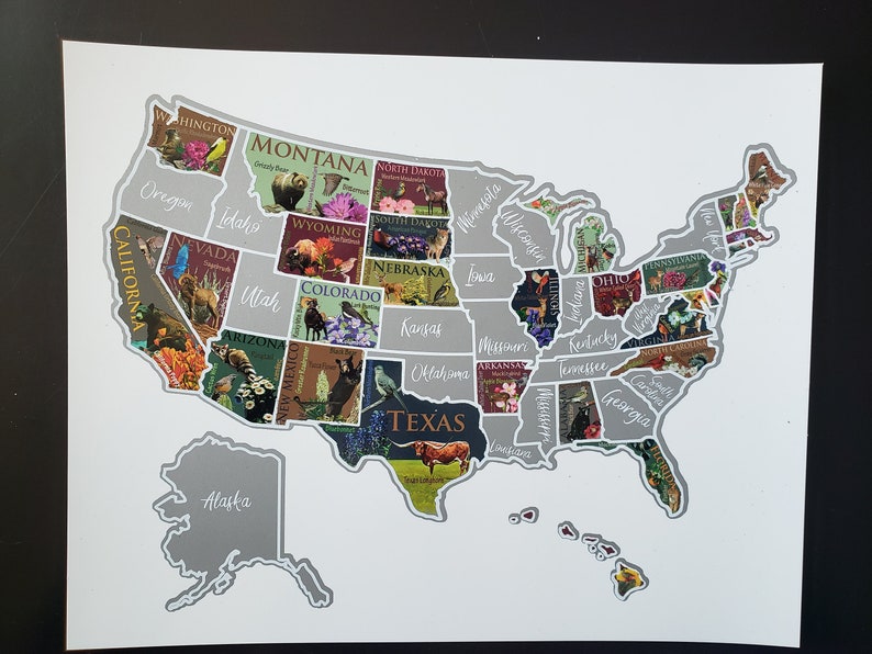 USA scratch off map United States poster Travel educational map Etsy sales tracker Bucket List poster, Places traveled, Scratch off image 3