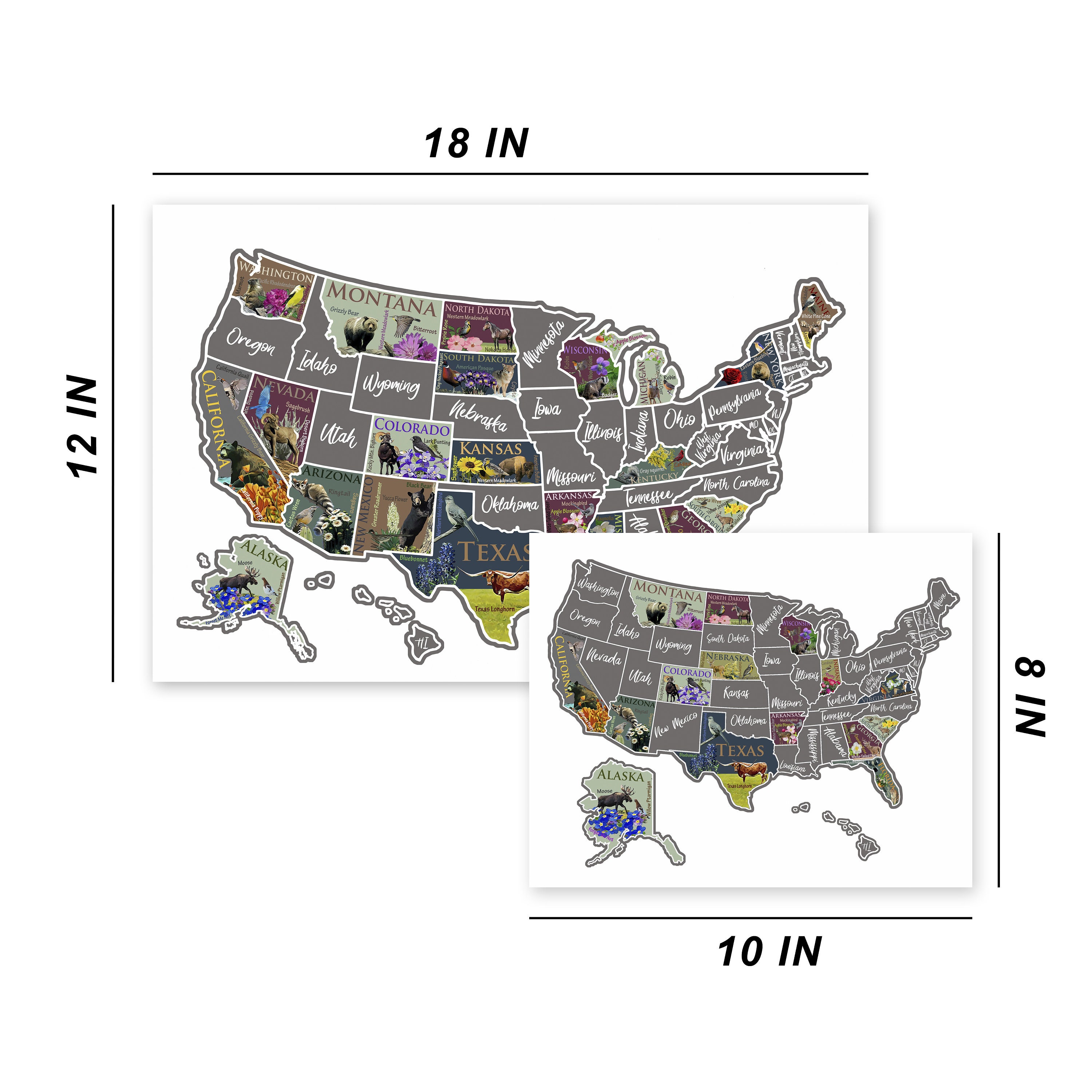 USA Scratch Off Map; State Symbols map; United States Poster; Educational travel scratch off poster; Places Traveled Map; Scratch off poster