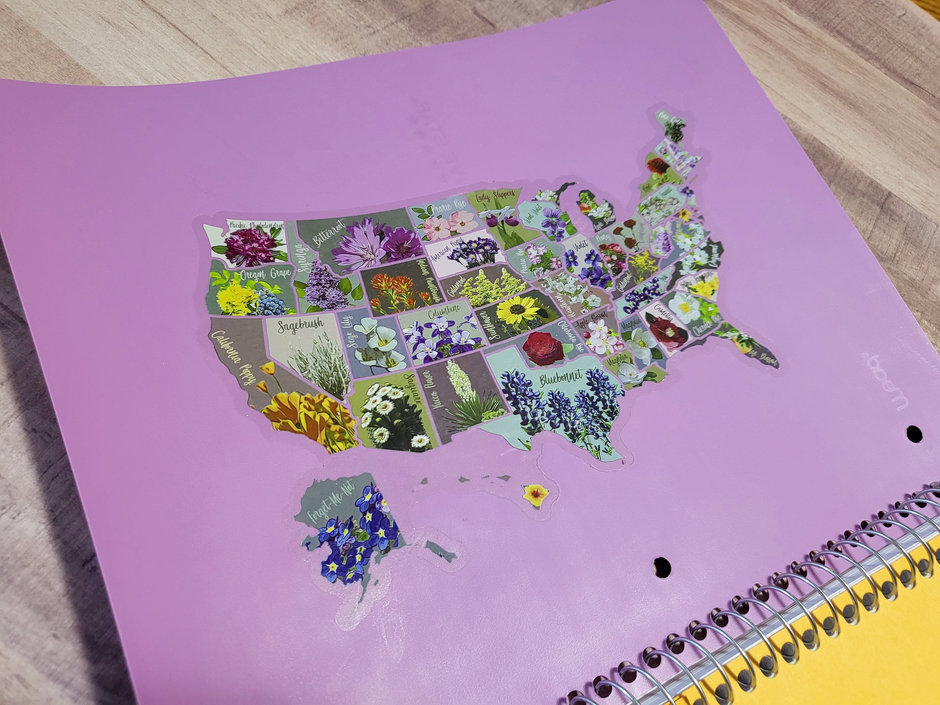 Transparent Scratch Off Sticker Map; USA Vinyl Decal; State Flower Map, Scratch Off 50 States; Places traveled; Decal Map; Planner Sticker