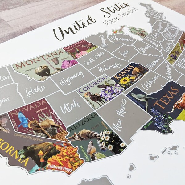 United States State Push Pins - Il 600x600.2654129835 Mls5