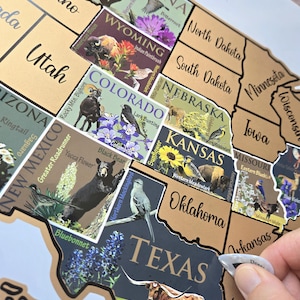 May include: A detailed map of the United States with state outlines in a gold color. Each state features colorful illustrations of its state animal, flower, or other symbols. A hand is peeling a sticker from the Texas state section.