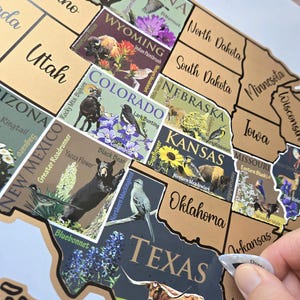 USA Scratch Off Map: State Symbols Educational Travel Poster, Places I've Been afbeelding 7