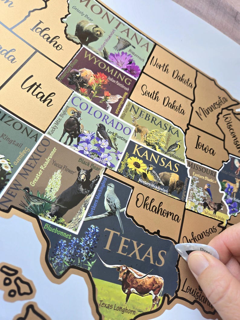 USA Scratch Off Map: State Symbols Educational Travel Poster, Places I've Been afbeelding 7