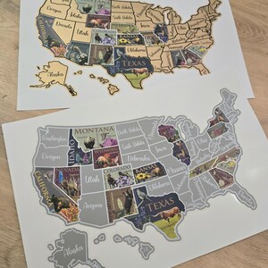 USA Scratch Off Map: State Symbols Educational Travel Poster, Places I've Been afbeelding 10