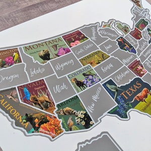 USA scratch off map United States poster Travel educational map Etsy sales tracker Bucket List poster, Places traveled, Scratch off image 4