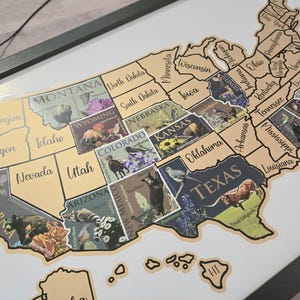 USA Scratch Off Map: State Symbols Educational Travel Poster, Places I've Been 12x18Gold+BlackFrame