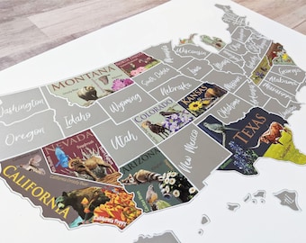 USA Scratch Off Map; State Symbols map; United States Poster; Educational travel scratch off poster; Places Traveled Map; Scratch off poster