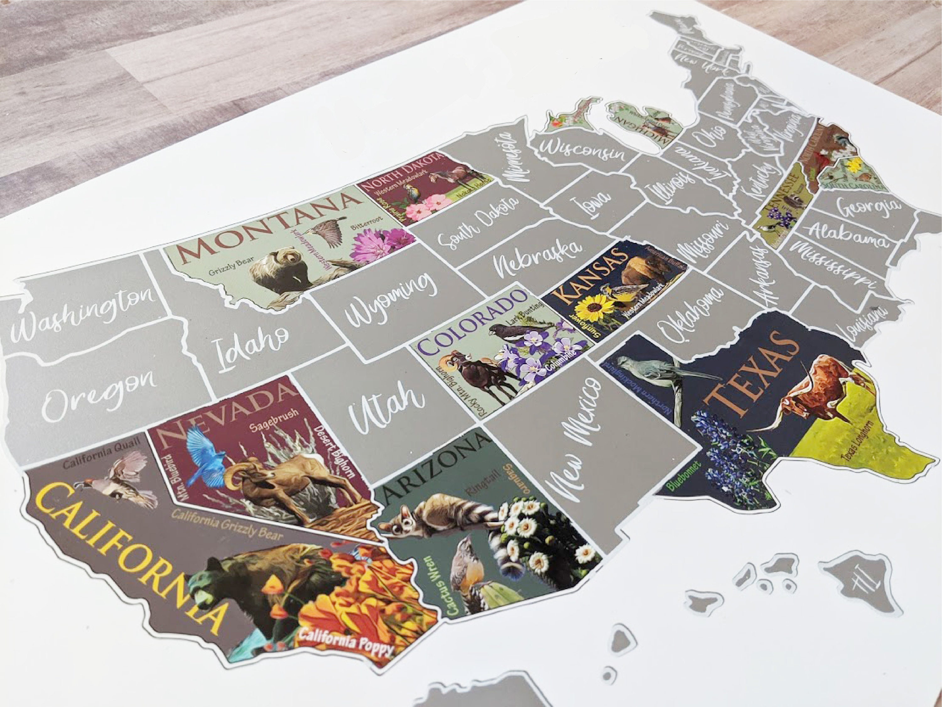 USA Scratch Off Map; State Symbols map; United States Poster; Educational travel scratch off poster; Places Traveled Map; Scratch off poster