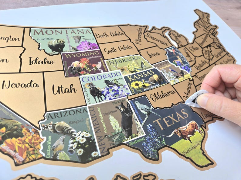 USA Scratch Off Map: State Symbols Educational Travel Poster, Places I've Been afbeelding 9